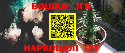 PSILOCYBIN Канаш