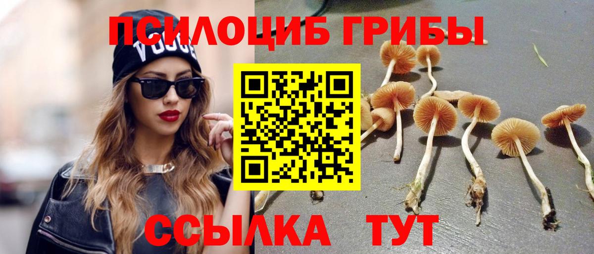 Луга  Псилоцибиновые грибы GOLDEN TEACHER  купить наркотик  Вход с VPN 