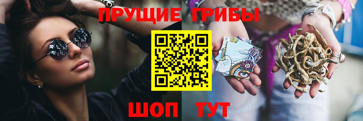 Галлюциногенные грибы Cubensis Луга